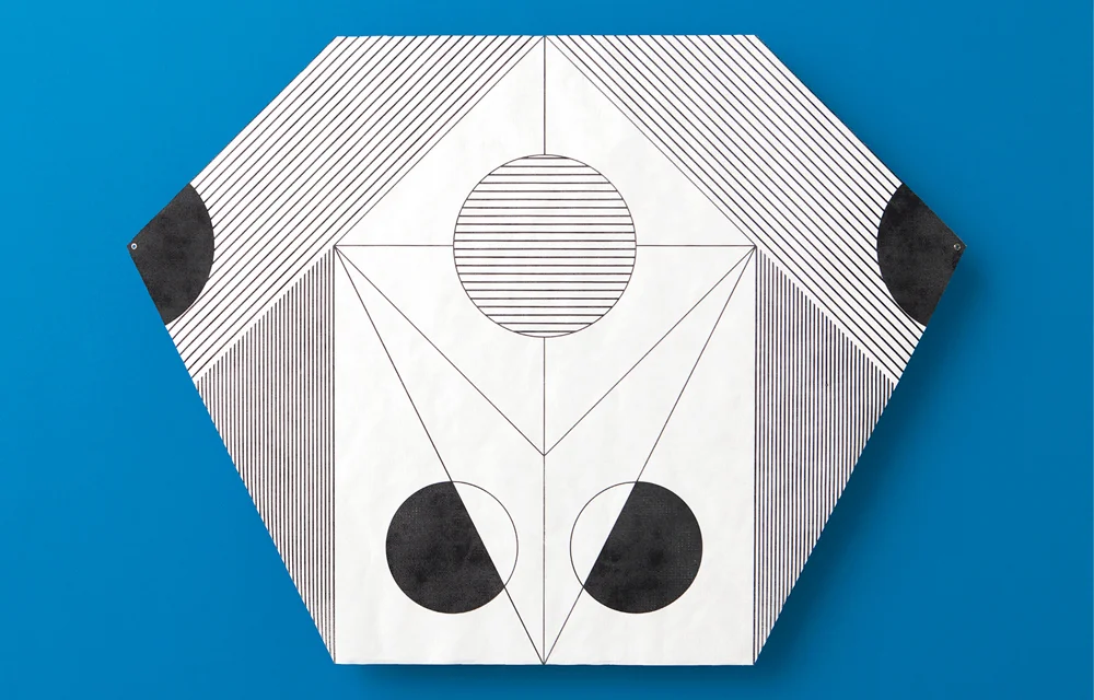 kite from kit unfolded.jpg