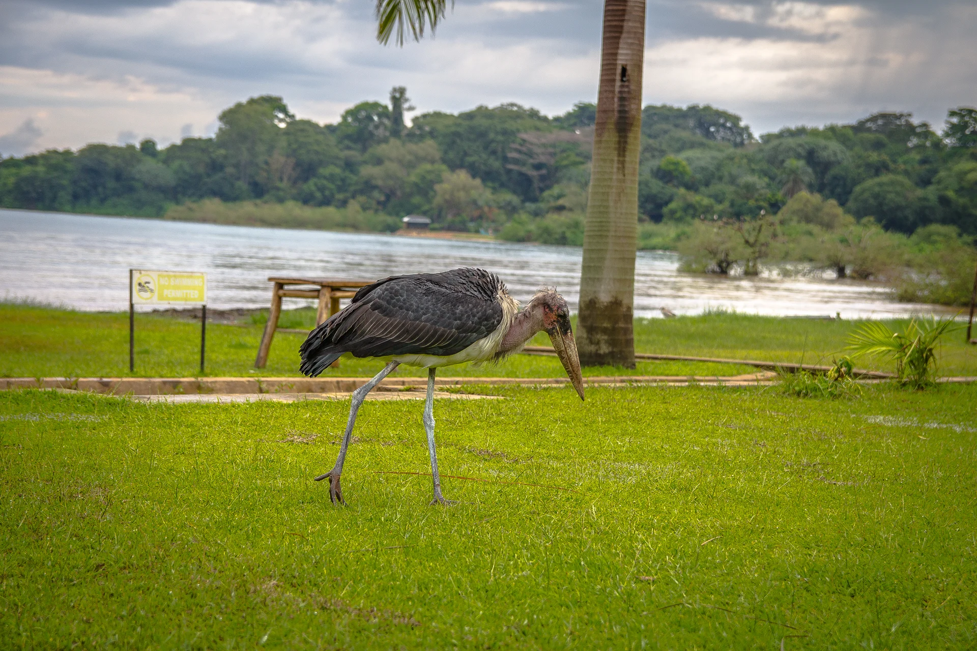 Uganda -0315.JPG