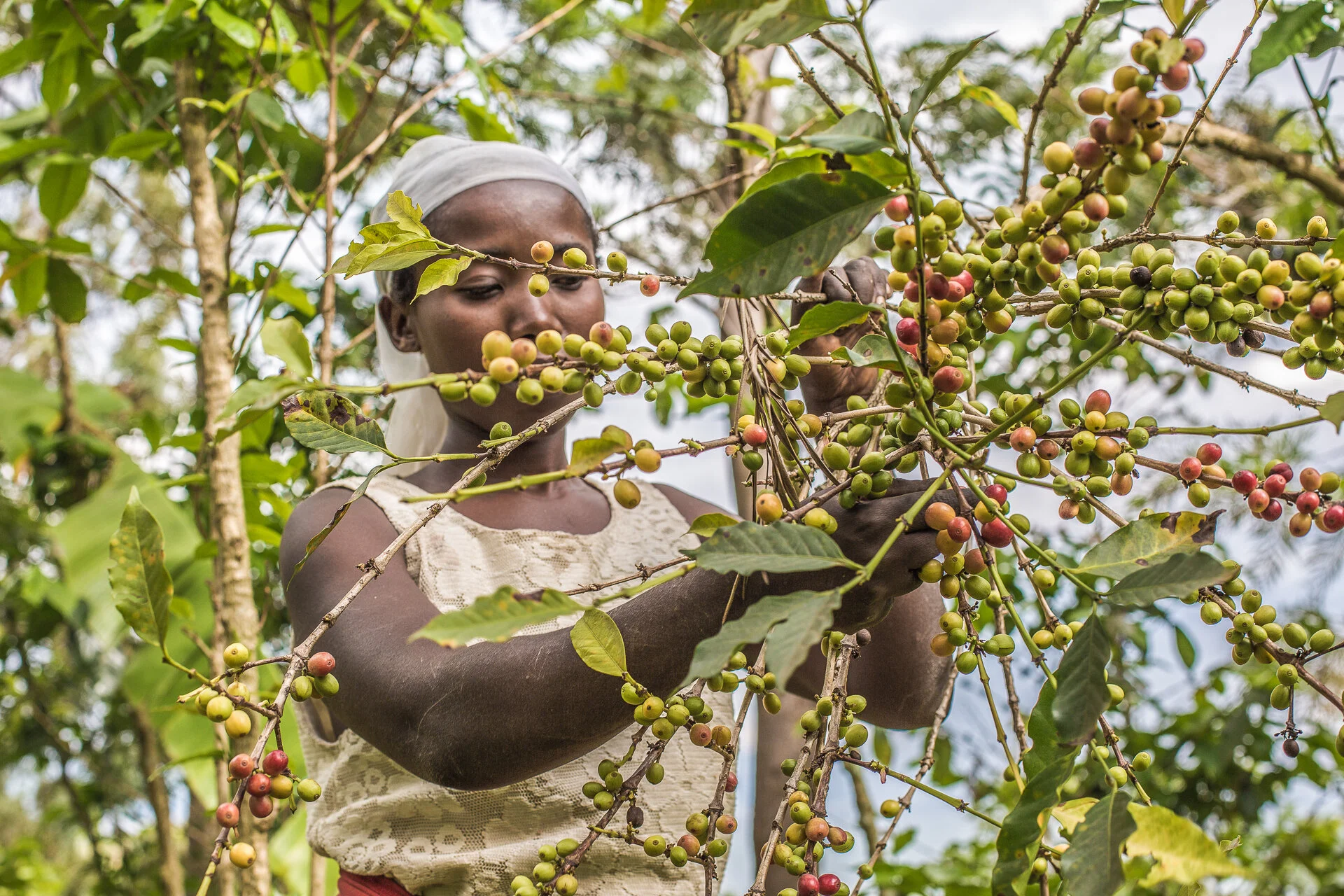 Mighty Peace Coffee-0992.JPG