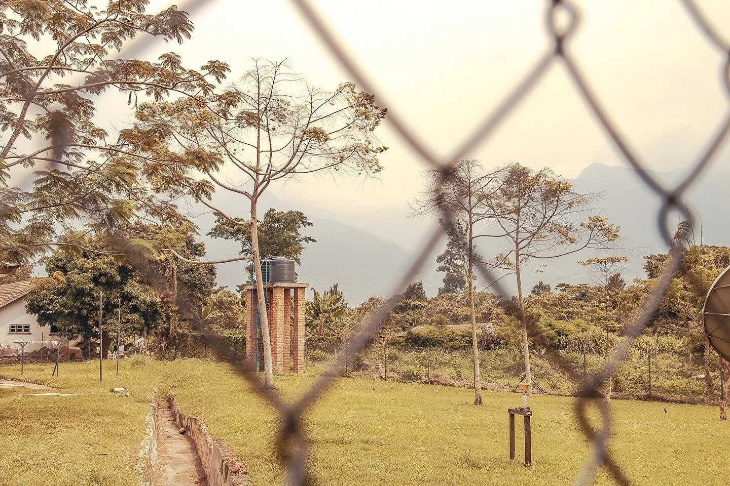 📍Mutwanga, Beni. 
🏔 Sur le pied du Mont Ruwenzori. #Congo