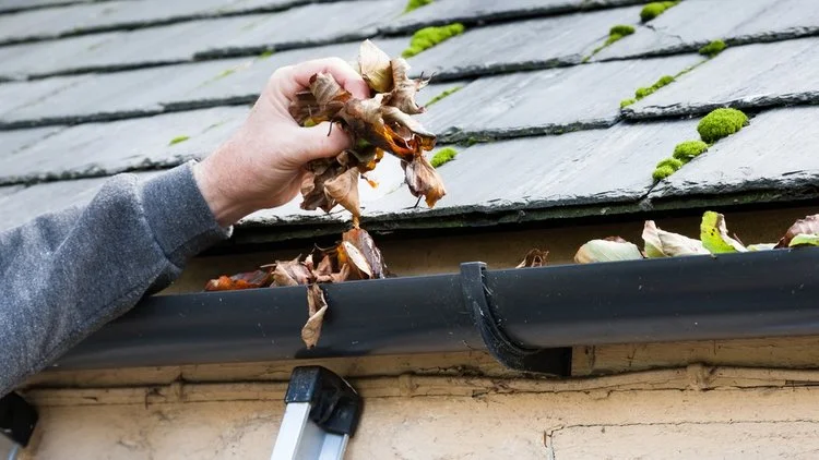 property-maintenance1000x667.jpg