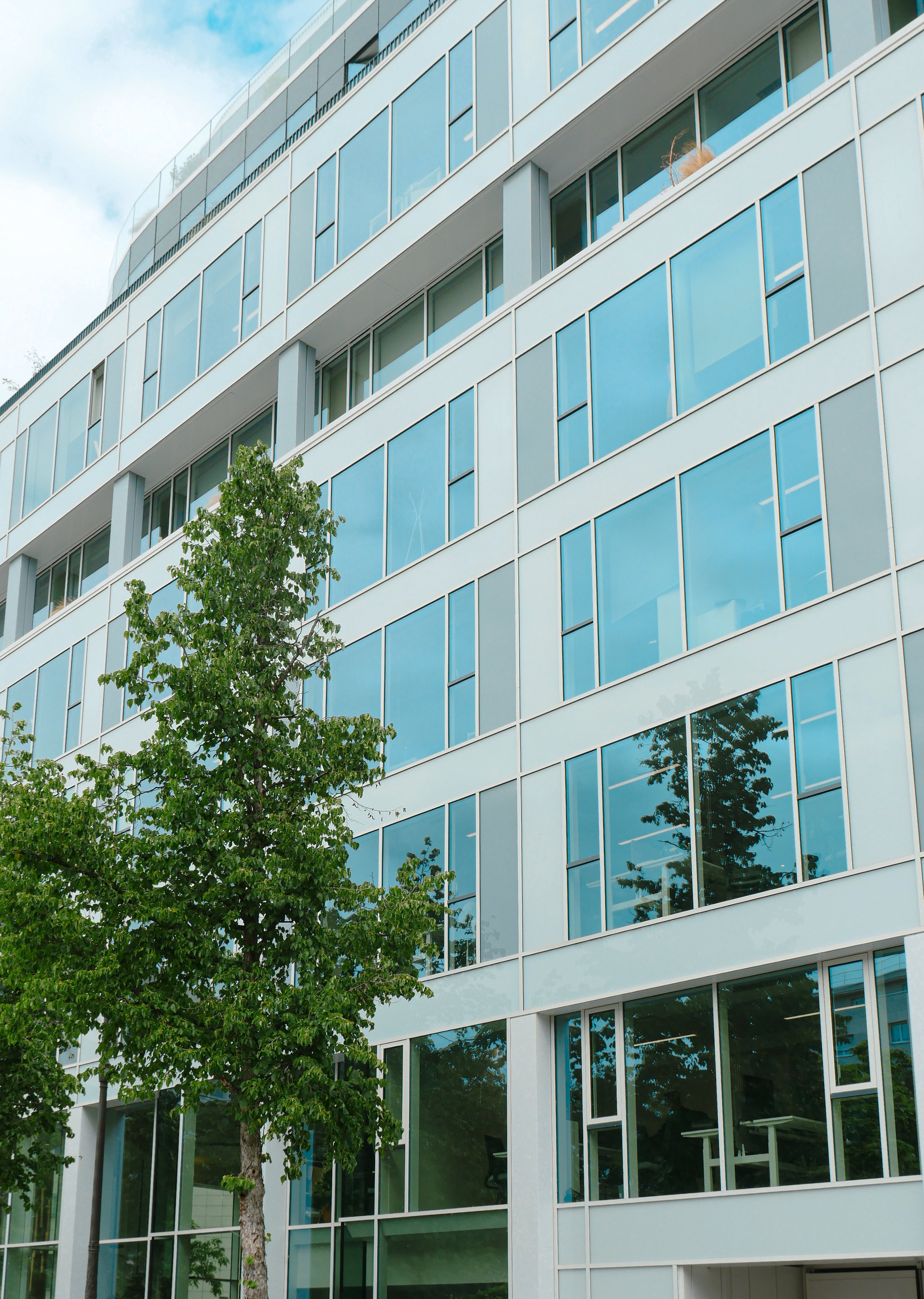 La façade de l'immeuble Daum-N composées de vitrages isolants plats et bombés