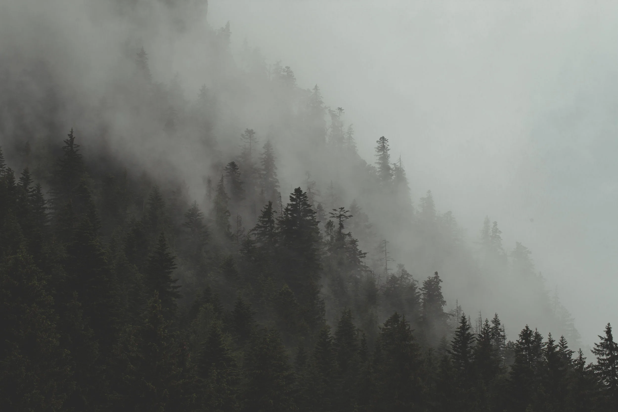 Sustainability reporting – getting to the heart of the issue