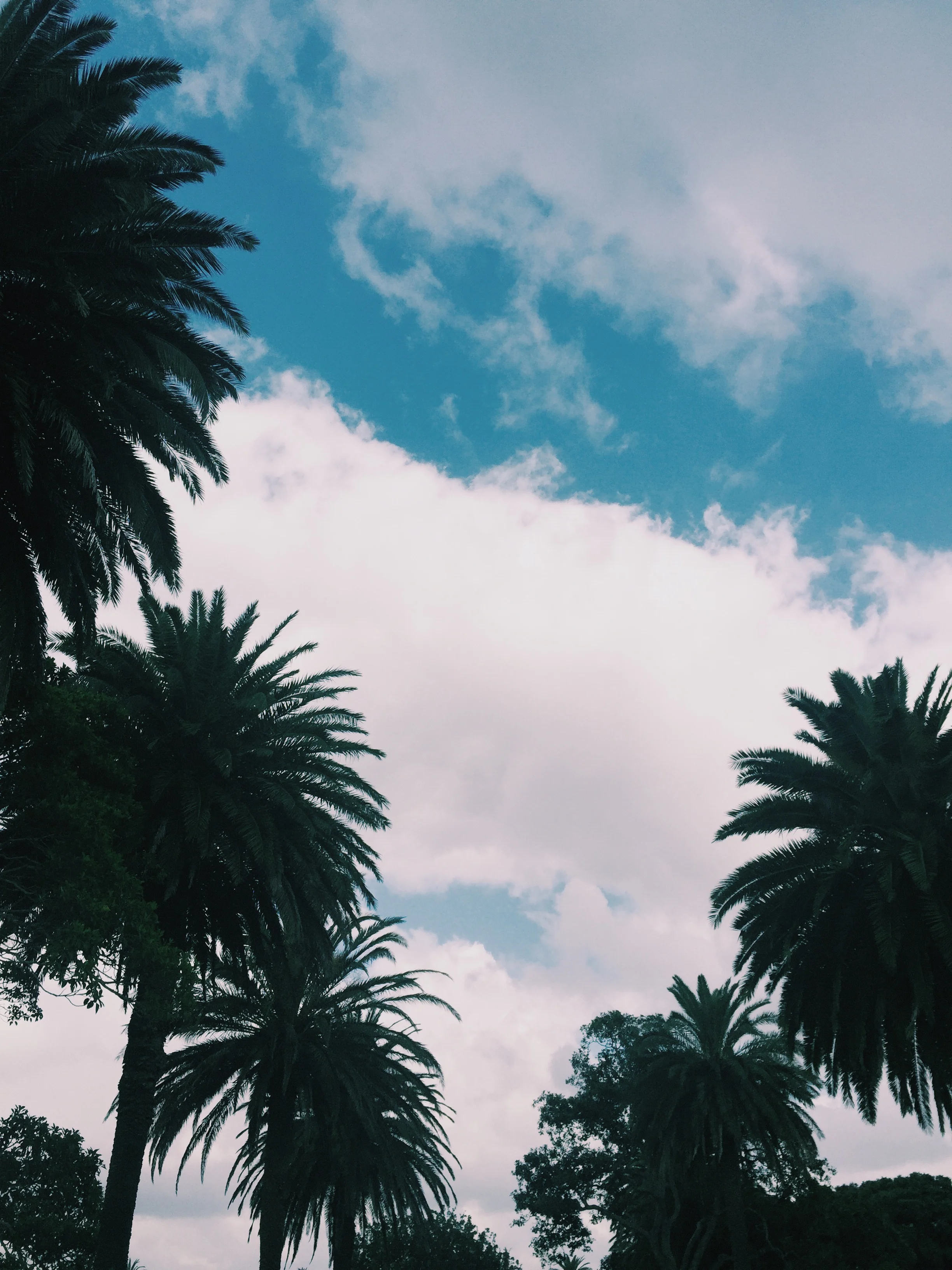 Centennial Park. Sydney,Australia