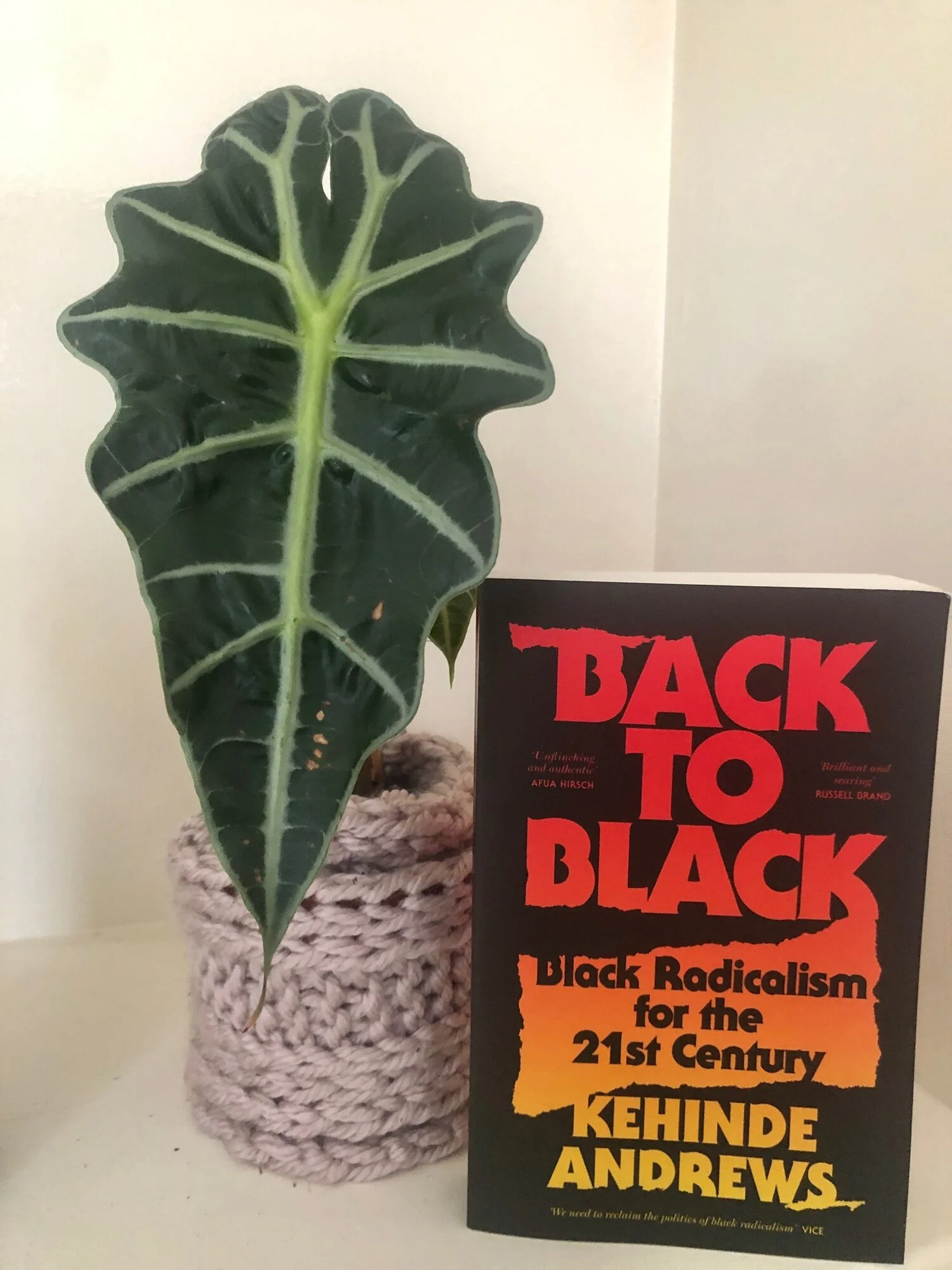 Back to Black  by Kehinde Andrews