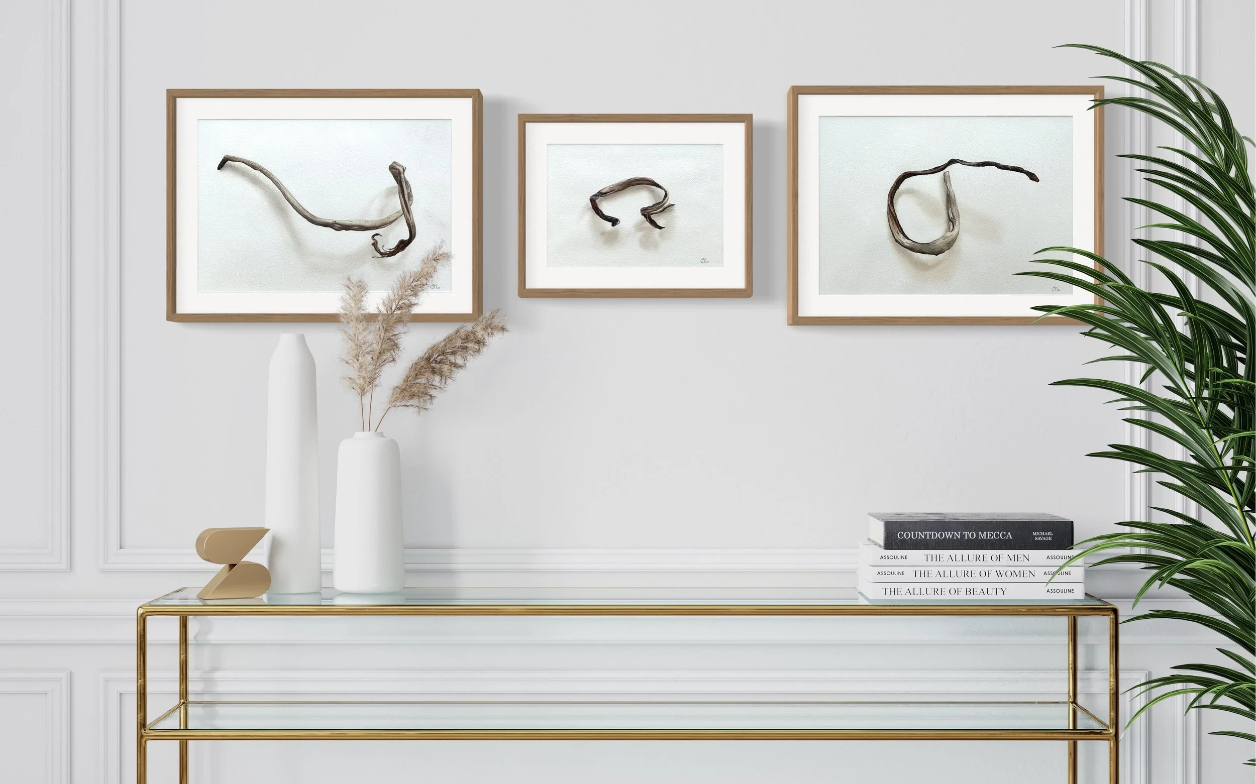 Image 12-6-2024 at 3.42 pm.jpg