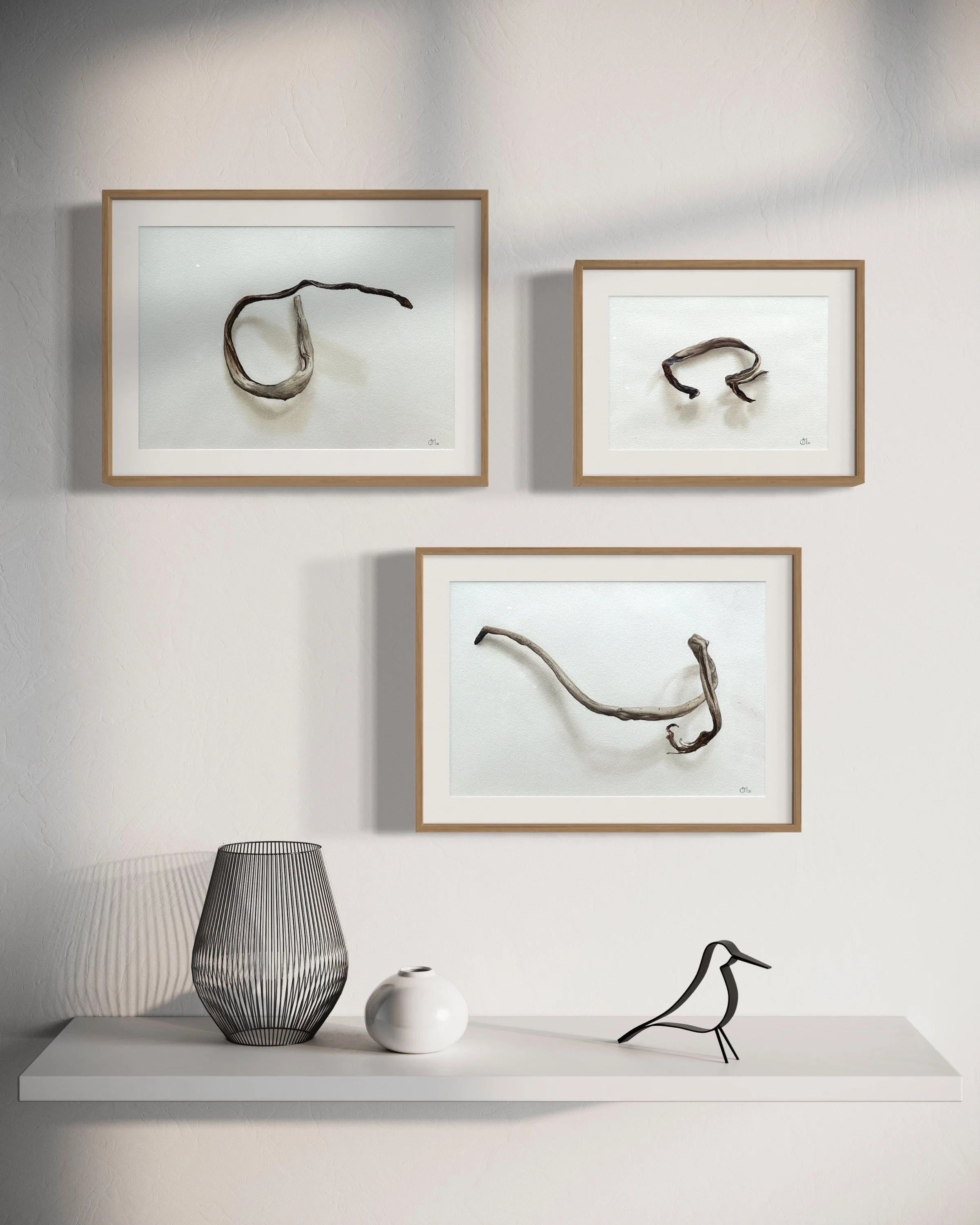 Image 12-6-2024 at 4.35 pm.jpg