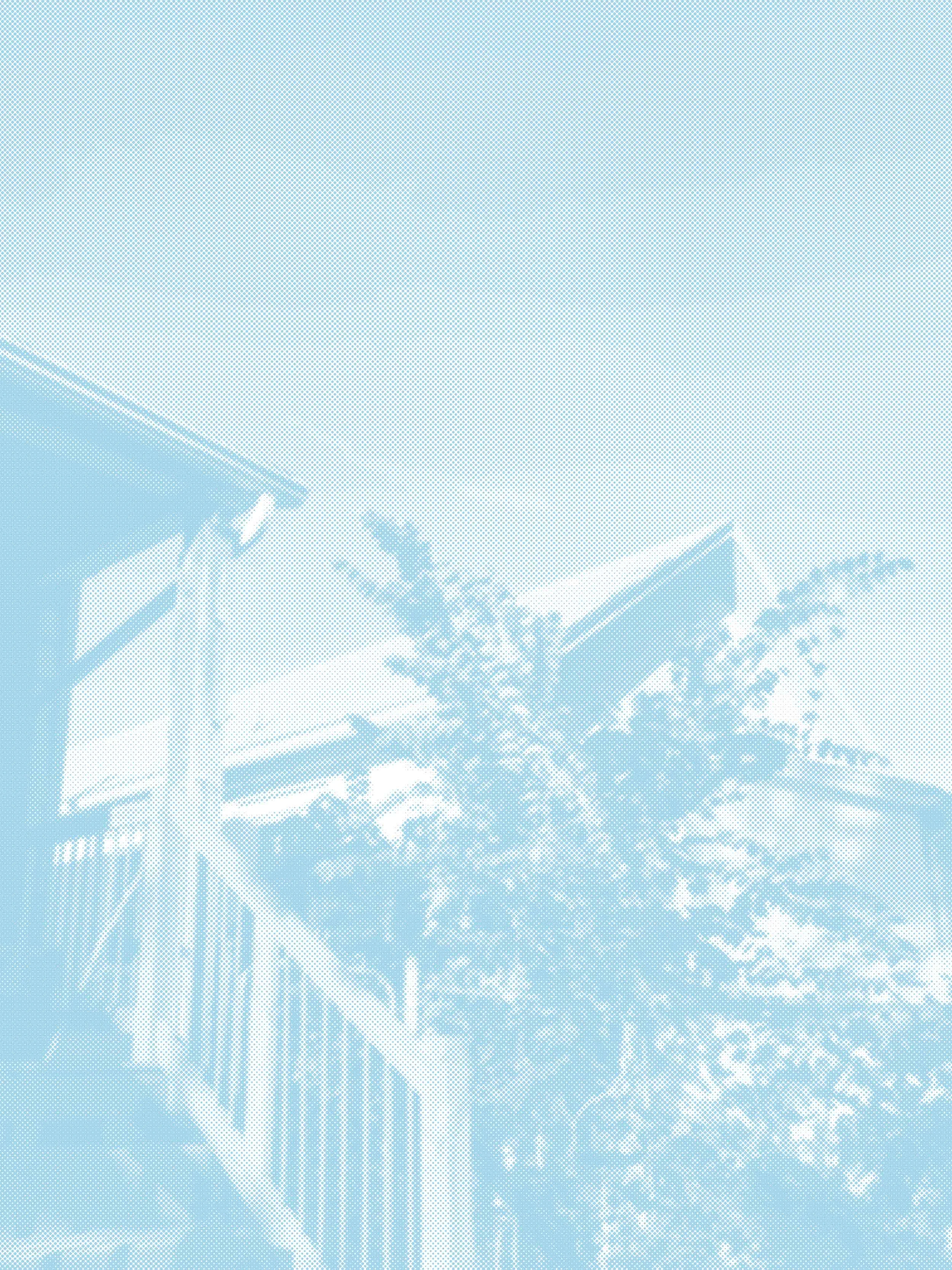 Riso Image_Blue.jpg