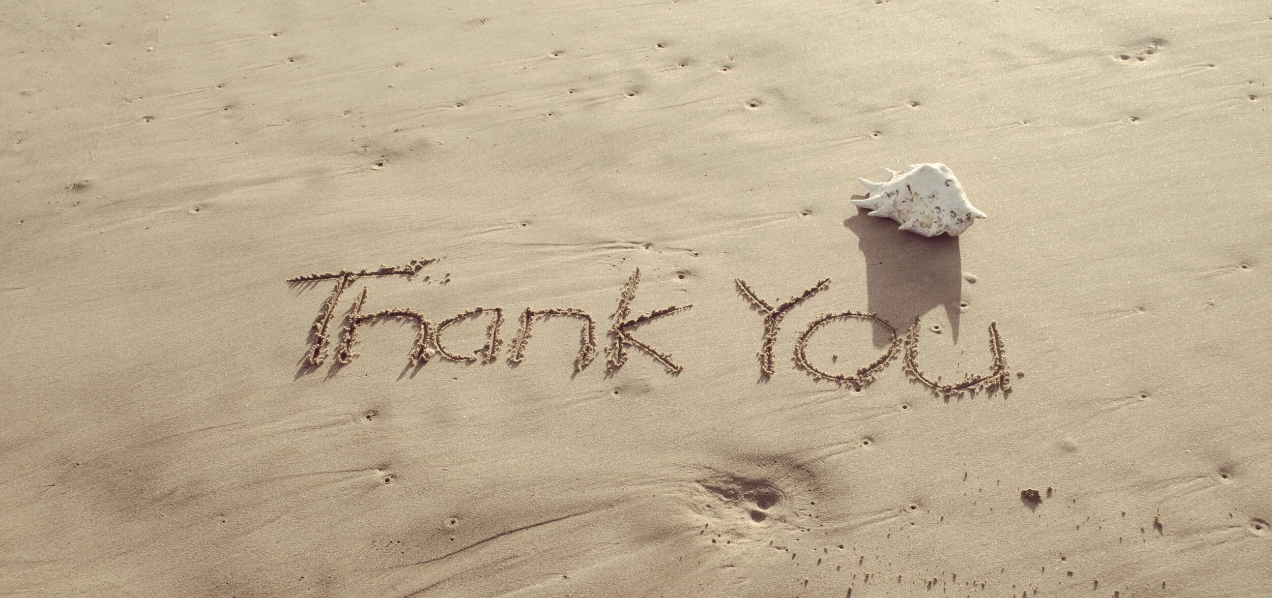 KnockoutPrezo-Free-Sandwriting-Thank-You-1.jpg