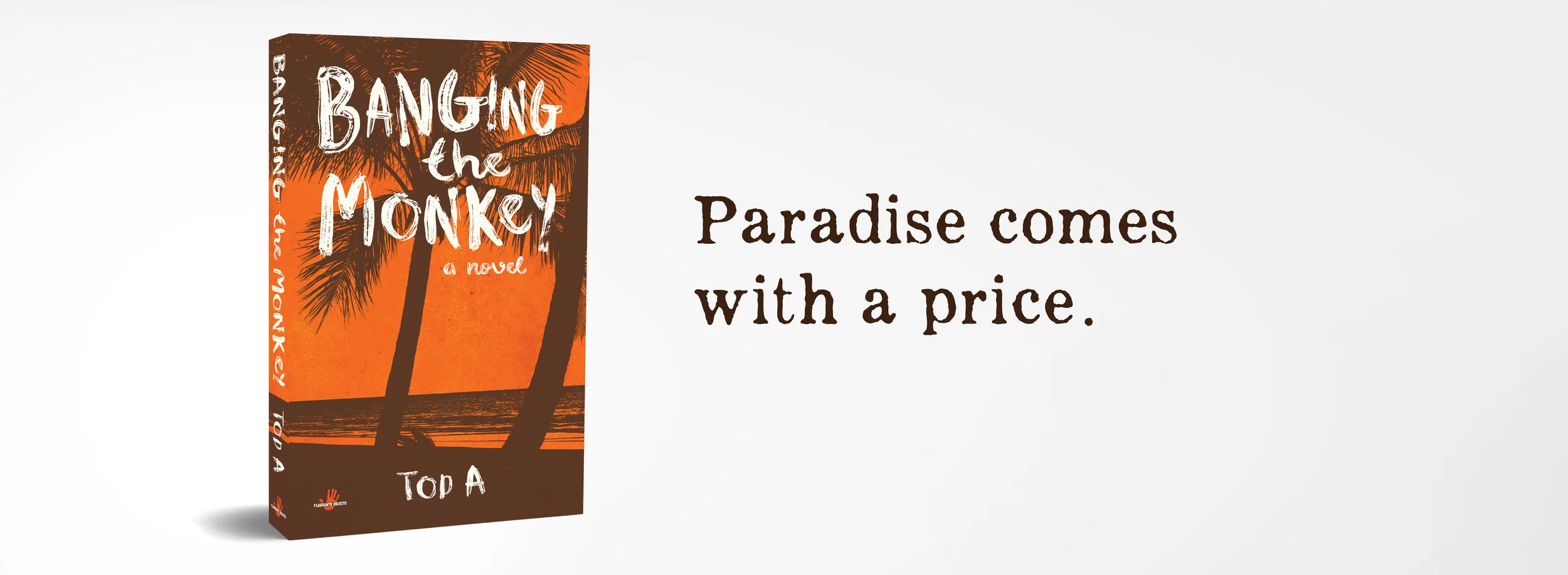 Monkey Cover Fake 3D - New WIDE 2 with Slogan.jpg