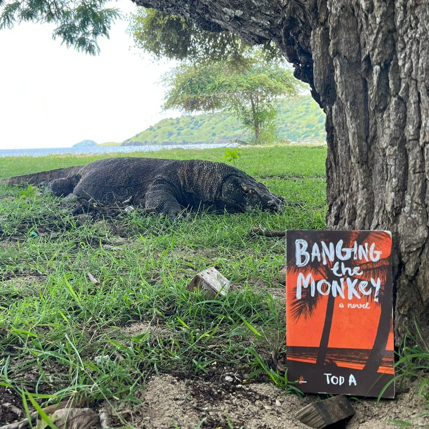 Komodo Dragon - Komodo Island, Indonesia - Photo by Selin Maner