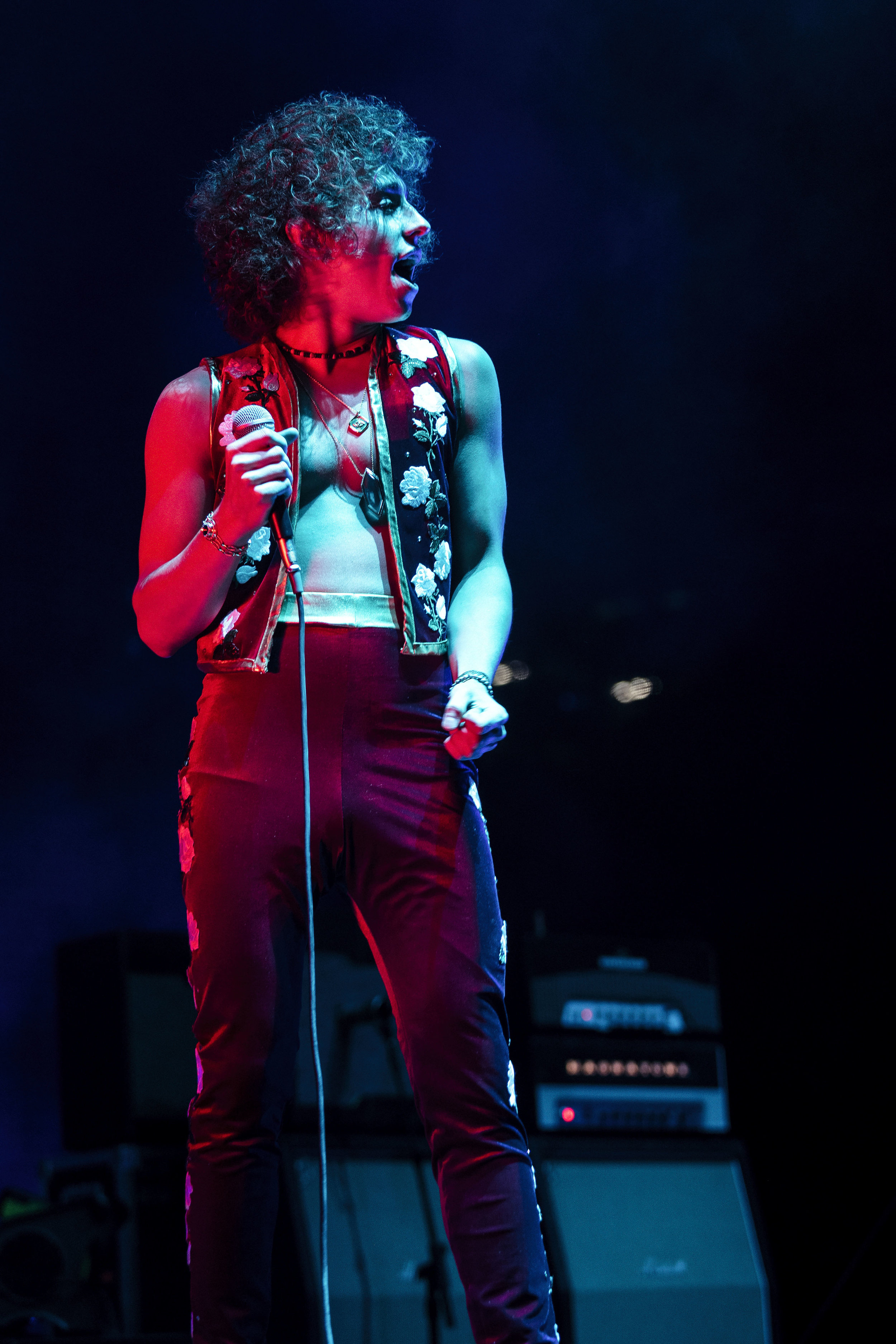 Greta Van Fleet_Bunbury_060119_1422.jpg