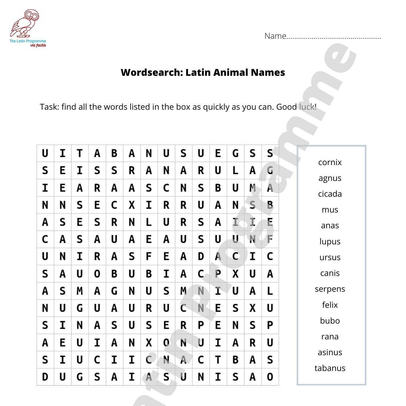 KS2 Wordsearch: Latin Animal Names — The Latin Programme - Via Facilis