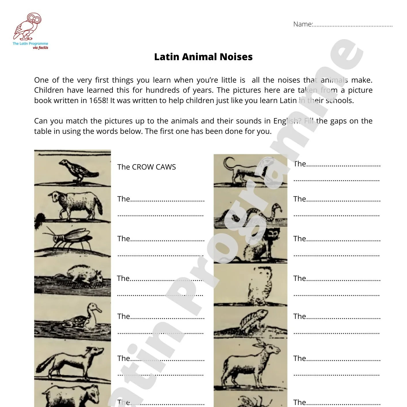 KS2 Language: Latin Animal Noises — The Latin Programme - Via Facilis KS2 Language: Latin Animal Noises — The Latin Programme - Via Facilis