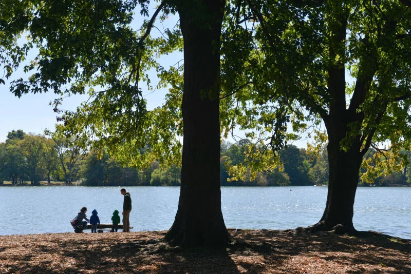 Mindfulness Event - Prospect Park In Person Program