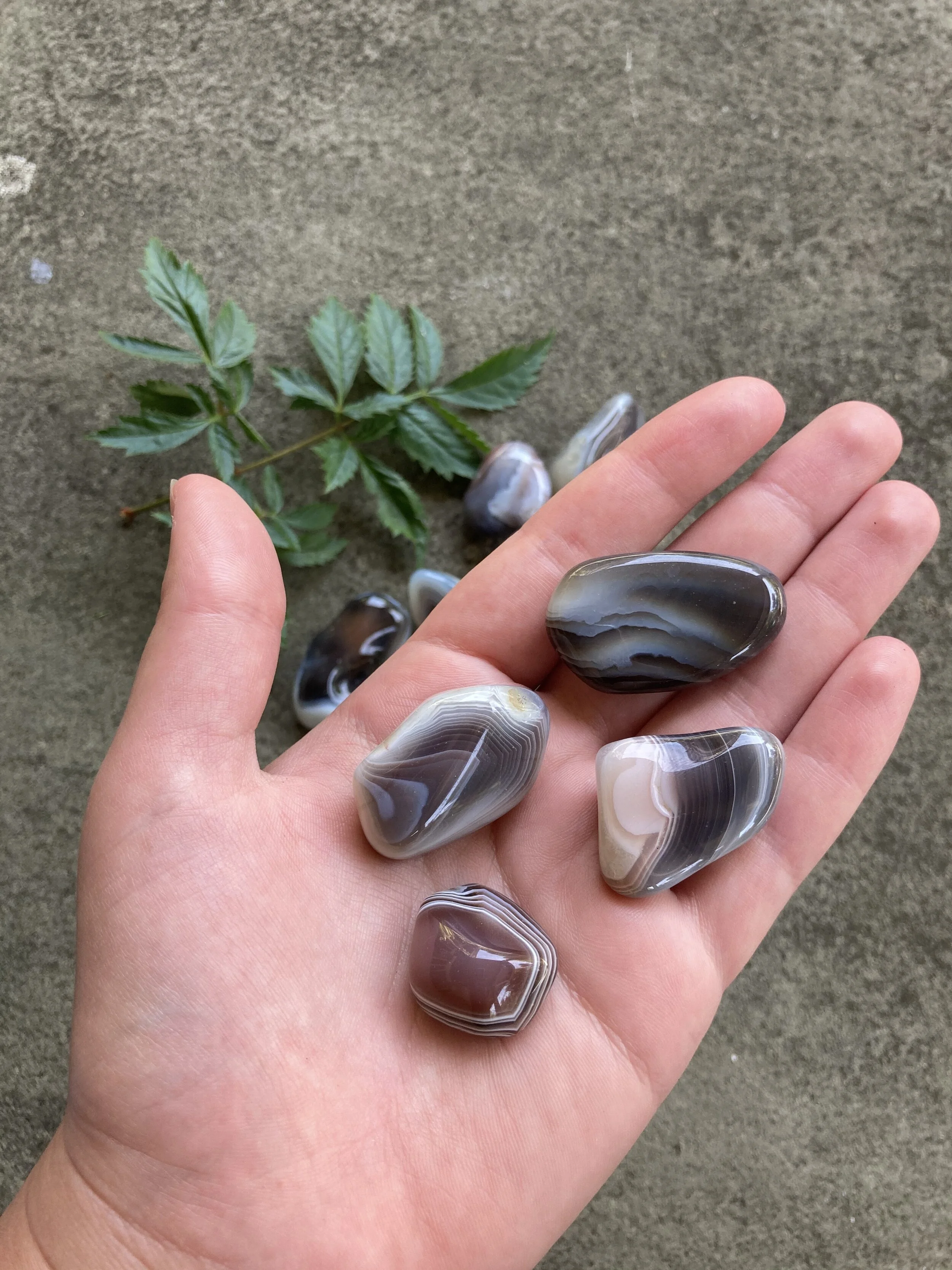 Botswana agate 2.jpg