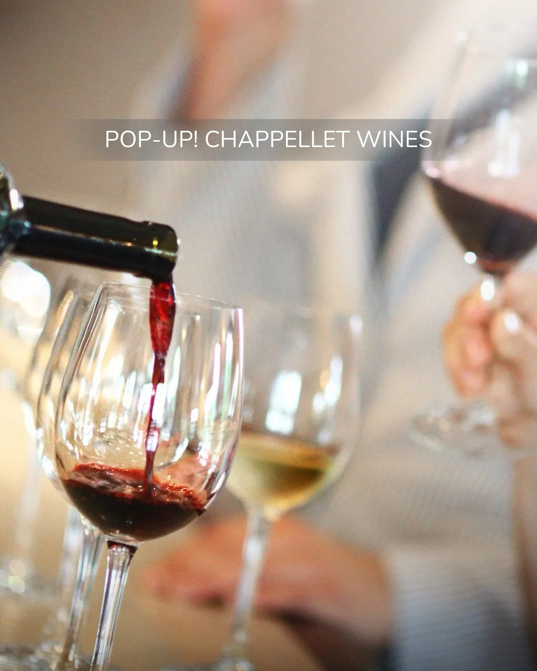 A special evening, just announced...
Join us at Nunzio HHI for an exclusive Pop-Up Wine Tasting with Chappellet Wines, featuring guest Stephen Rosenblatt.

Enjoy a curated selection of Napa Valley excellence, including:
&bull; 2021 Mountain Cuv&eacut