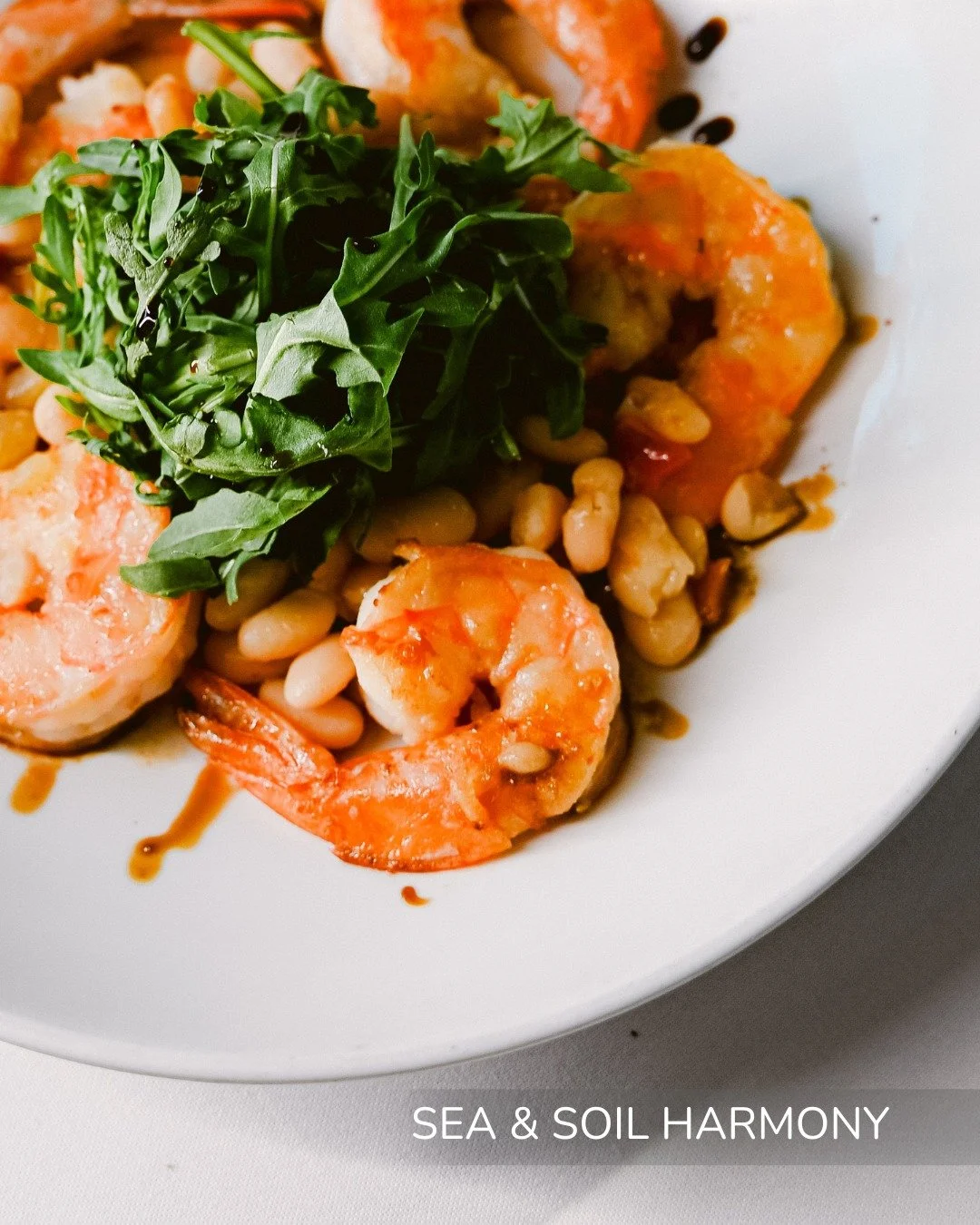 A refined balance of sea and garden... fresh, delicate, and beautifully Nunzio.

#seafood #shrimpandsoil #hhi #hiltonhead #freshfoods