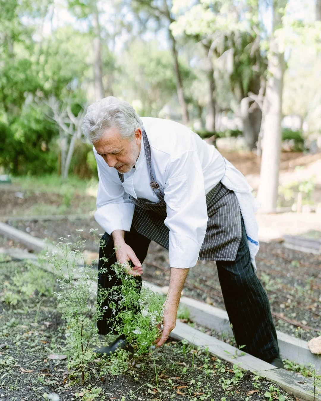A few of Chef Nunzio&rsquo;s favorite moments happen long before service begins. 🌱

#hiltonheadisland #hiltonheadlife #italiancuisine #chefnunzio #italianchef