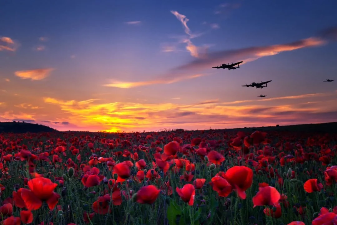 Join us today in memoriam of the more than 600k souls who gave their life to secure the freedoms we live as Americans. #MemorialDay #poppies #freedom #usa #militaryfamily