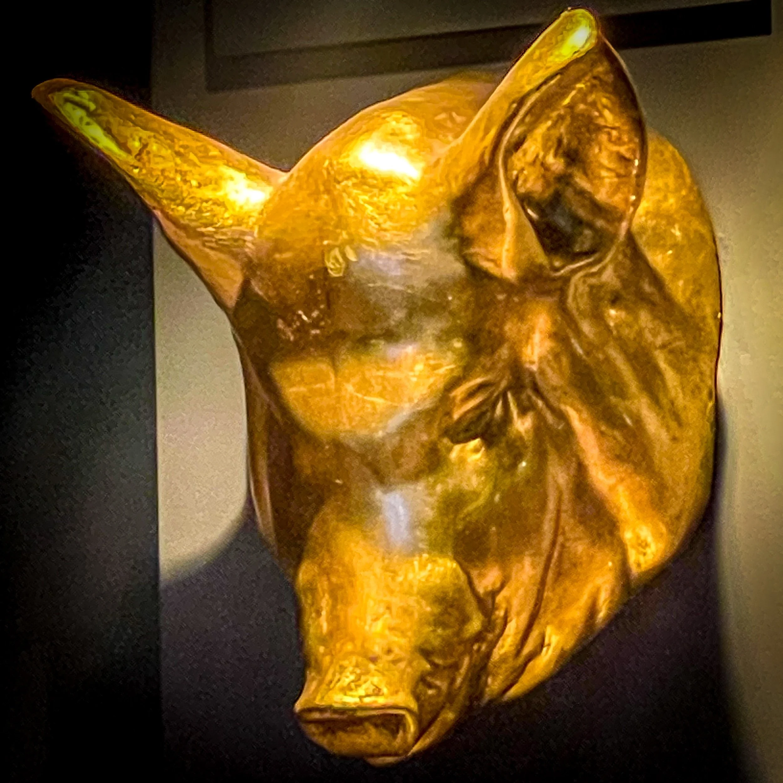 Cordial – from Bon Lío to a new chapter in Oslo