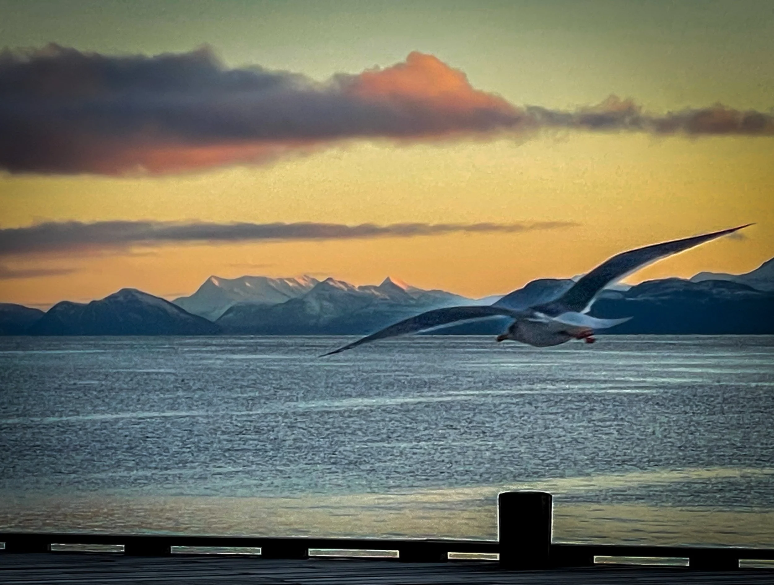 Northern Calm – A Business Trip to Harstad