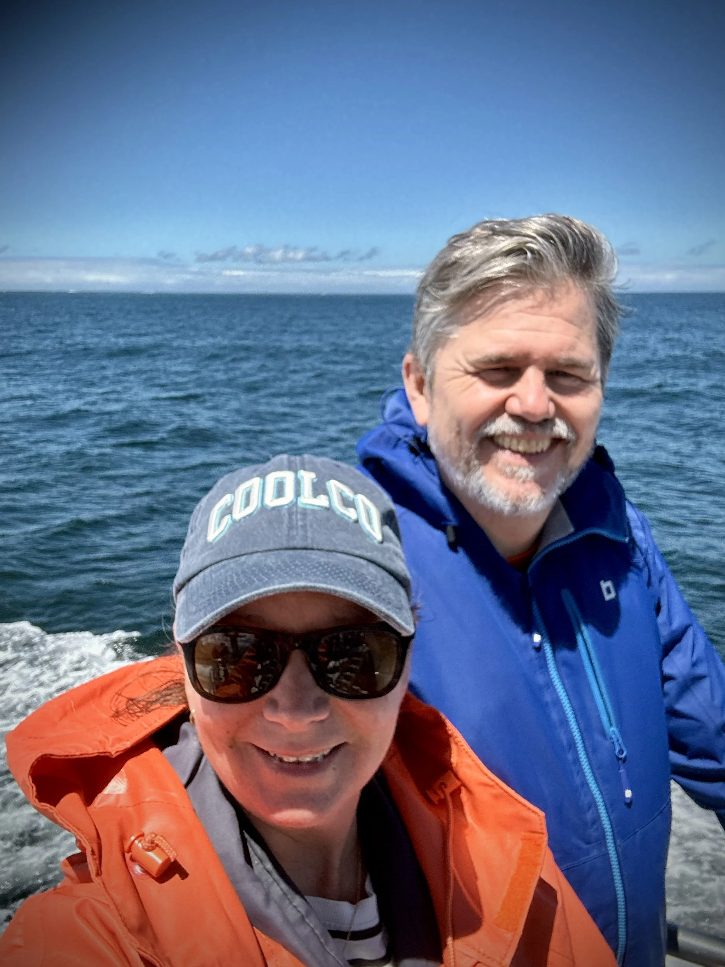 Hermanus – whales, wind, and a coastline that never sits still