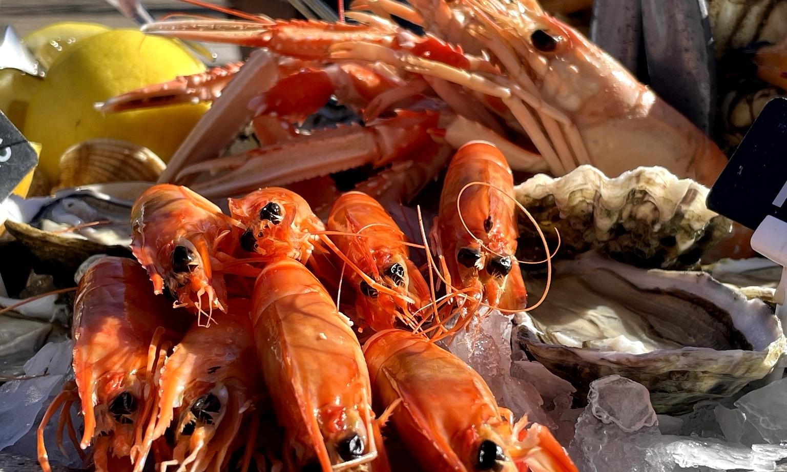Cannes, Sun, and a Plate of Seafood