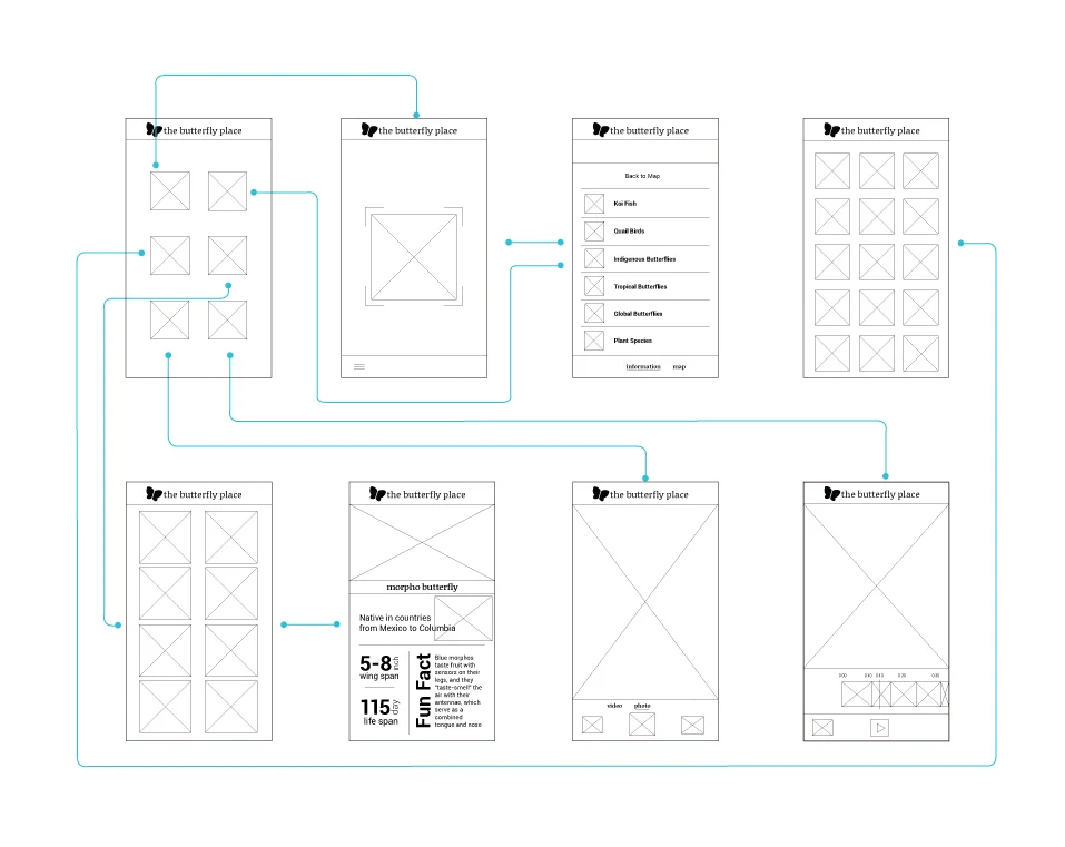 butterfly-wireframes.jpg