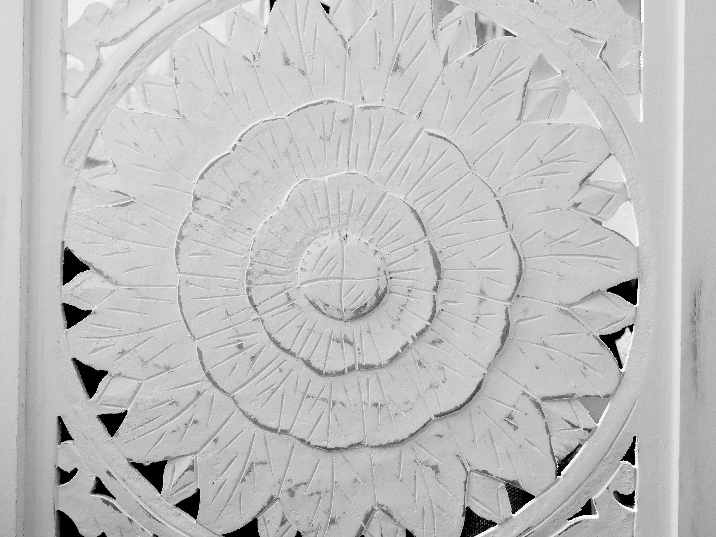 0716FDBD-CF96-4811-B594-D1D412207D03.jpeg