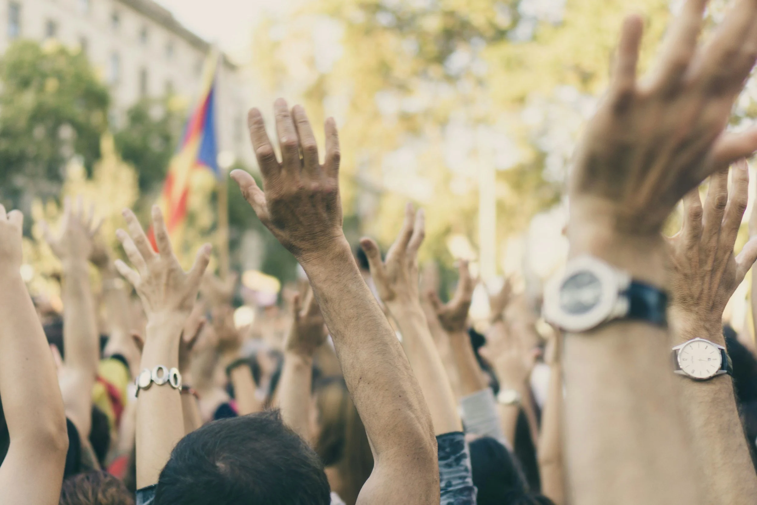 Trumbull Voices for Democracy