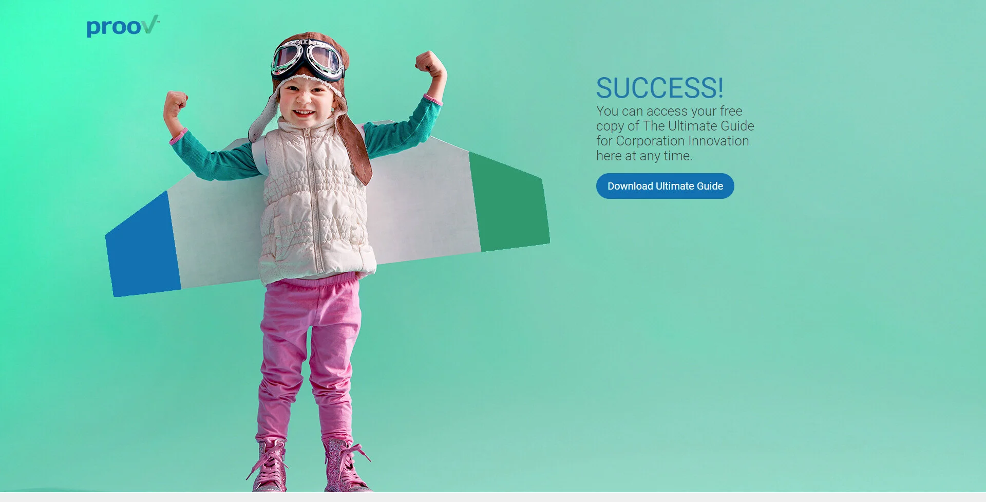 Corporate Innovation success.jpg