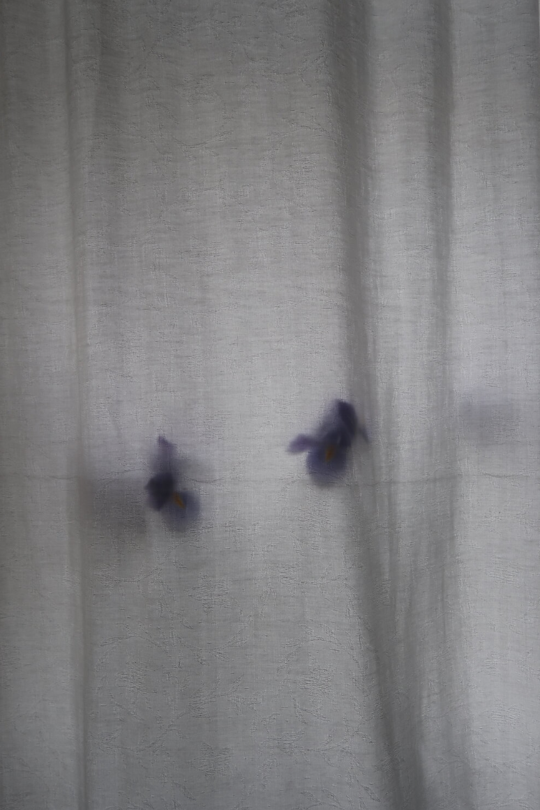 Screen Shot 2020-03-04 at 12.31.36.png