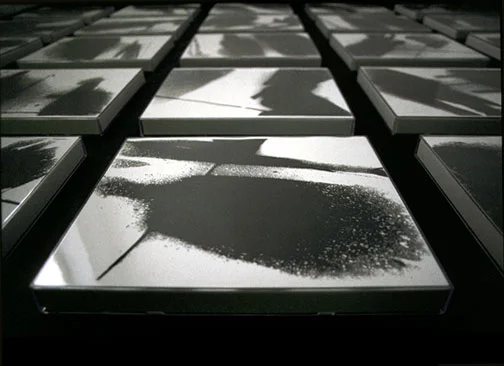  Permeable Opposite[Trace], Artomatic, Washington, DC 1999 