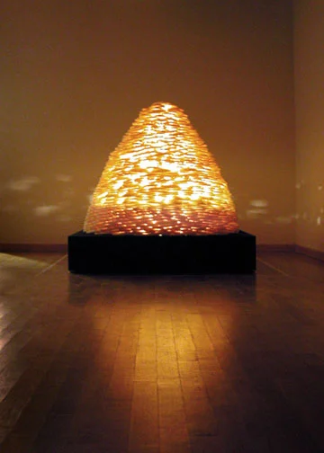  Untitled: Ricemap, Maryland Art Place, Baltimore, MD 2004 