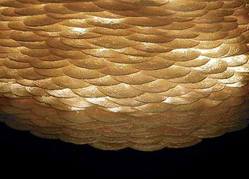 untitled_ricemap 04.jpg