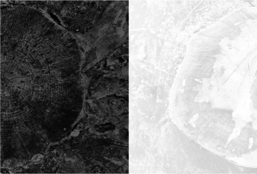 IN GRAY, New Solo Exhibition on view  at Multiple Exposures Gallery