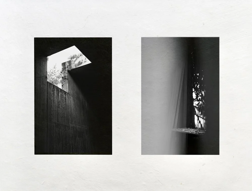 Ham_diptych_ series_2.jpg