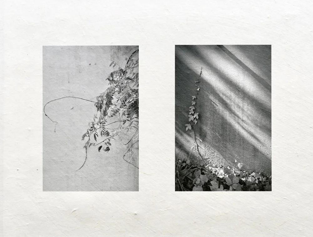 Ham_diptych_ series_1.jpg