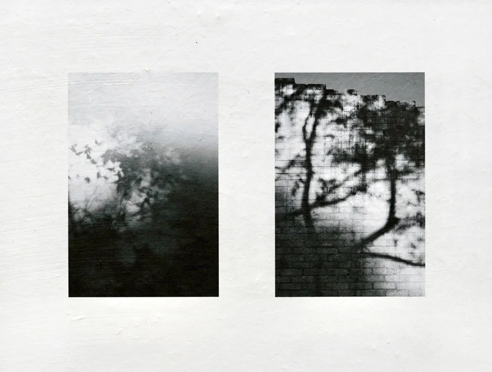 Ham_diptych_ series_3.jpg