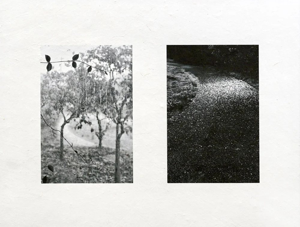 Ham_diptych_ series_4.jpg