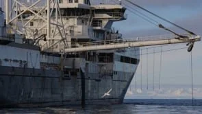 The Captain Paul Watson Foundation | Chilean Navy