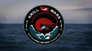 The Captain Paul Watson Foundation | Operation Krill Wars