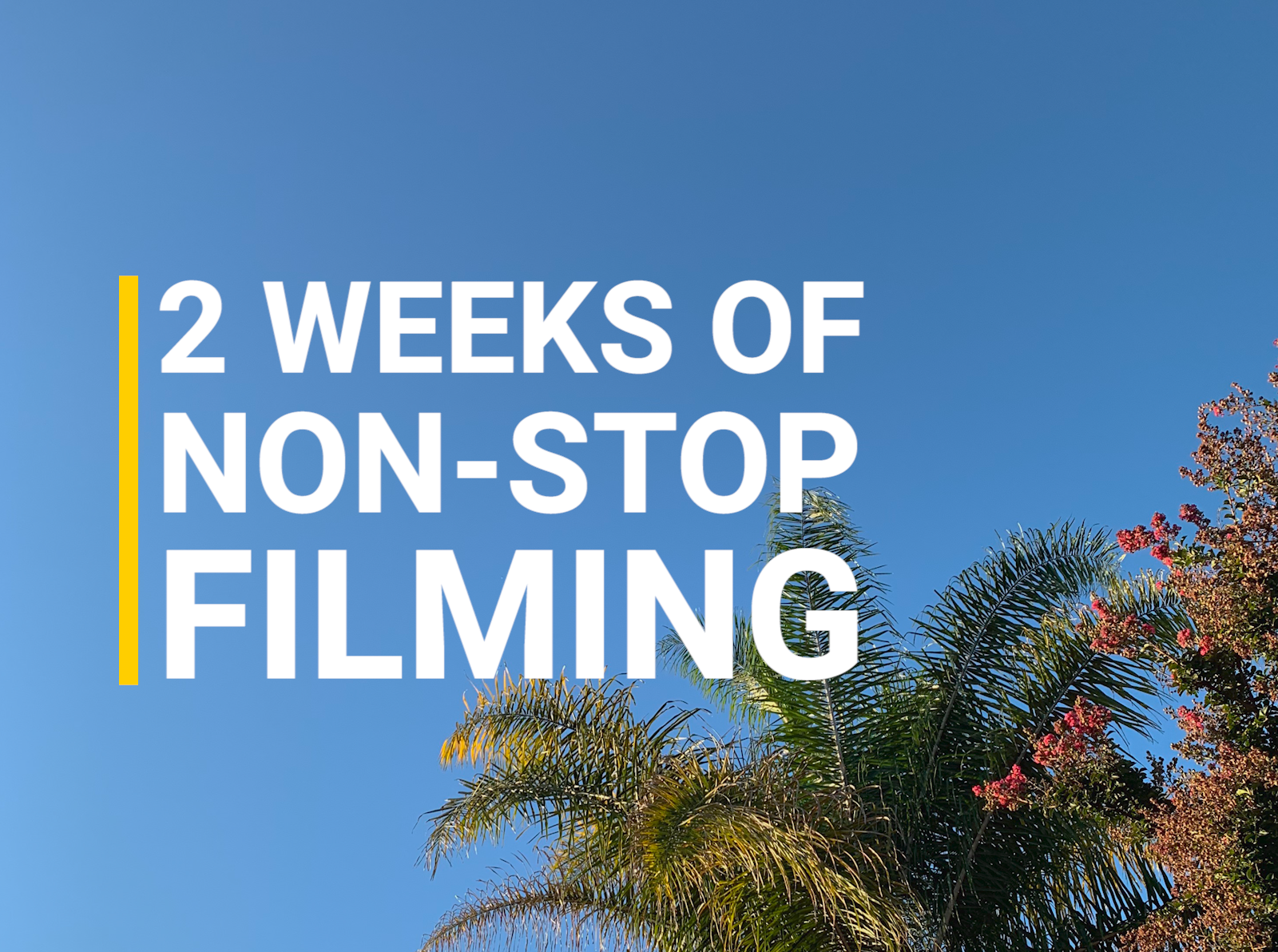 2 Weeks of Non-Stop Filming