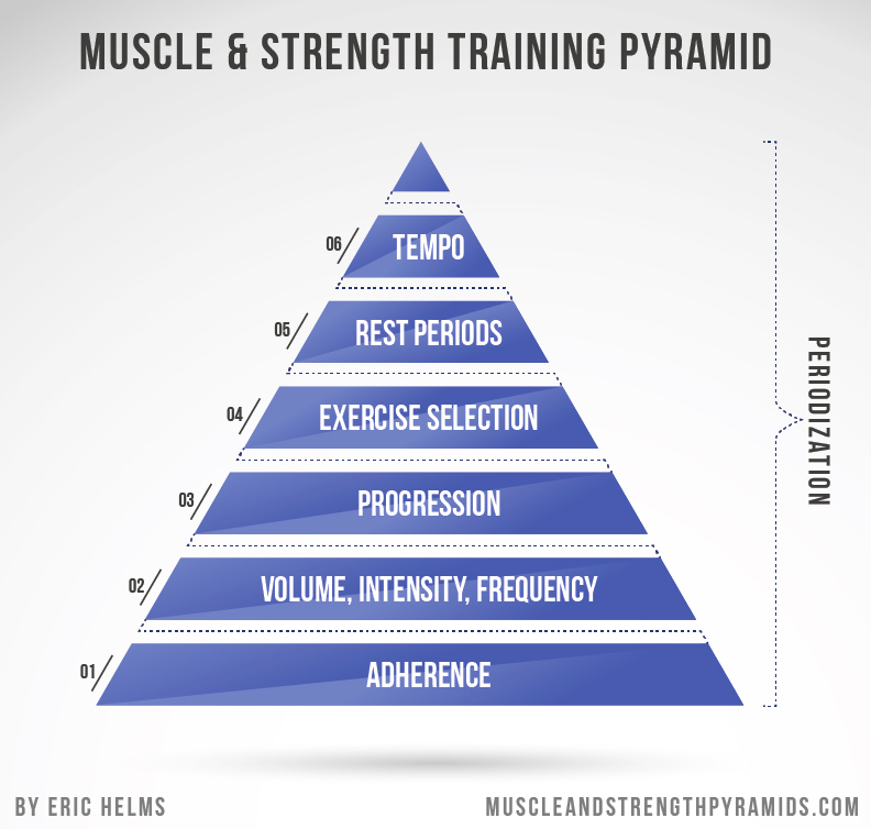Factors In Hypertrophy — Big Bend Strength
