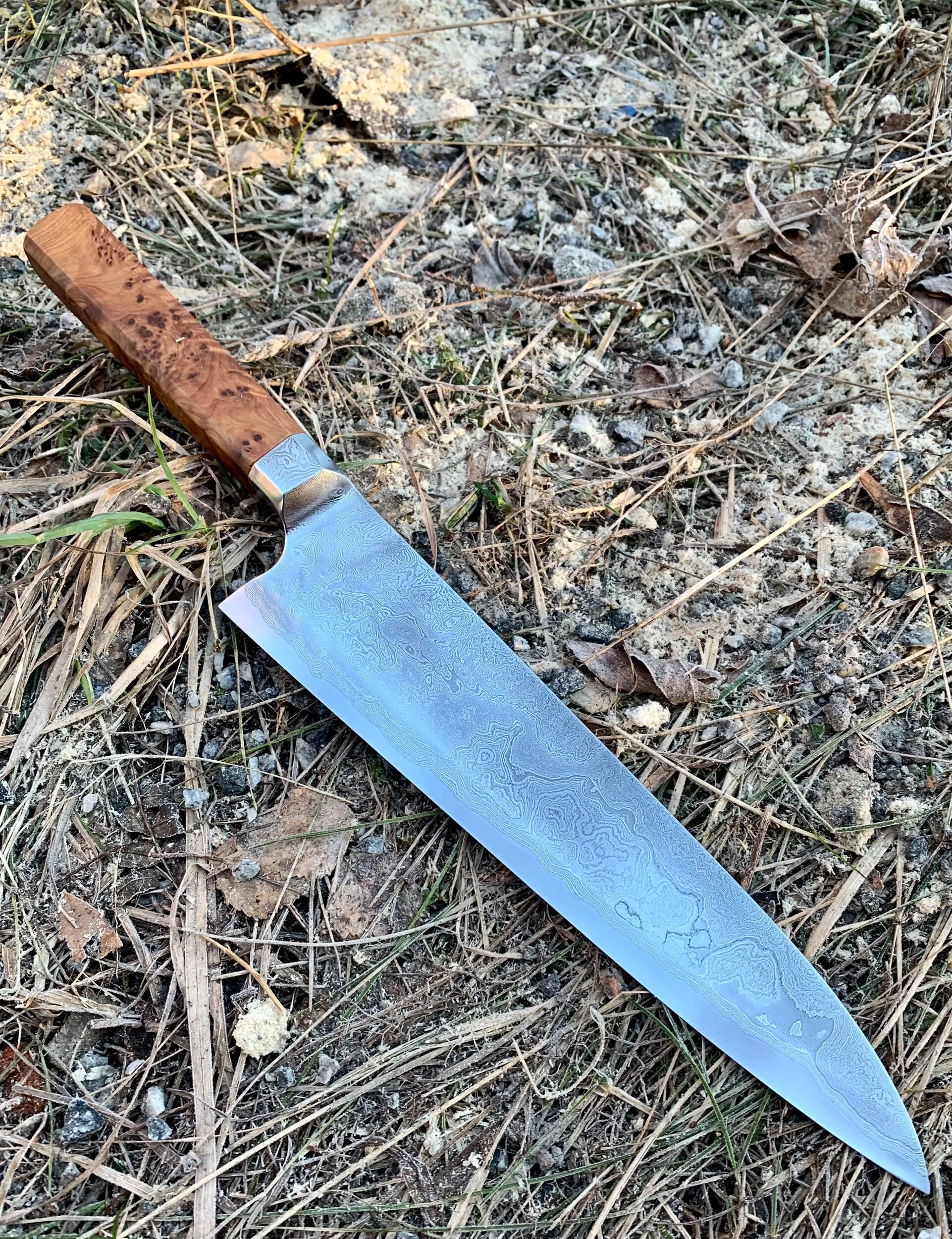 E761BE9A-7540-4A55-83D6-D707C9DF319A