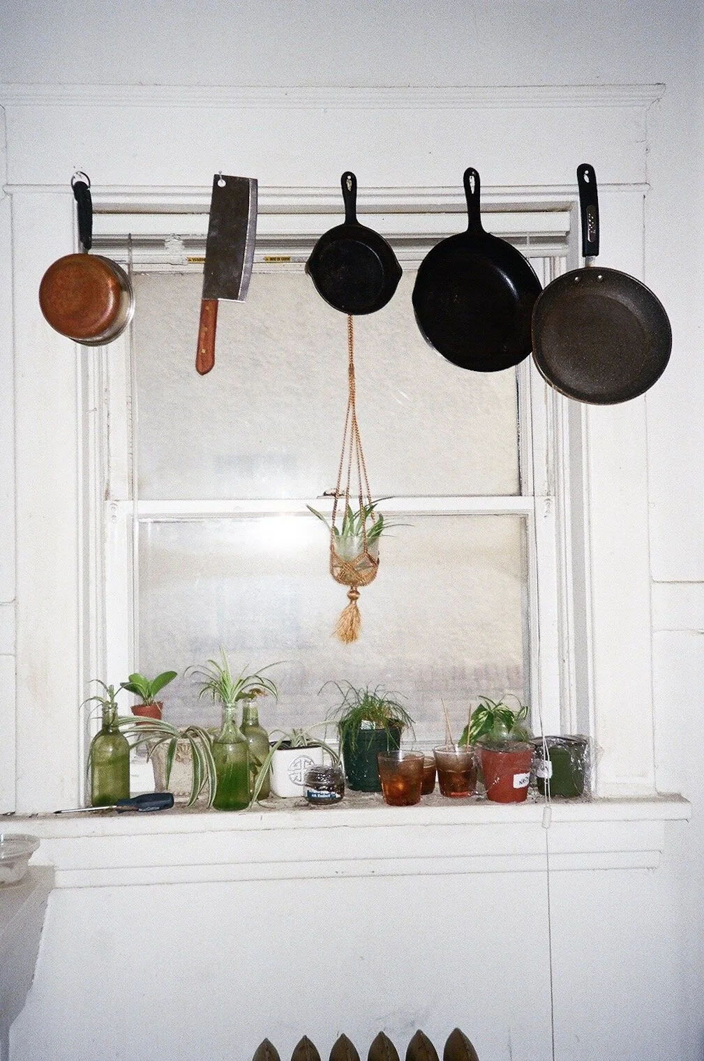 Photo 2019-04-25, 9 45 52 PM.jpg