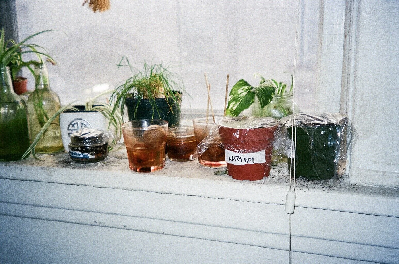 Photo 2019-04-25, 9 44 34 PM.jpg