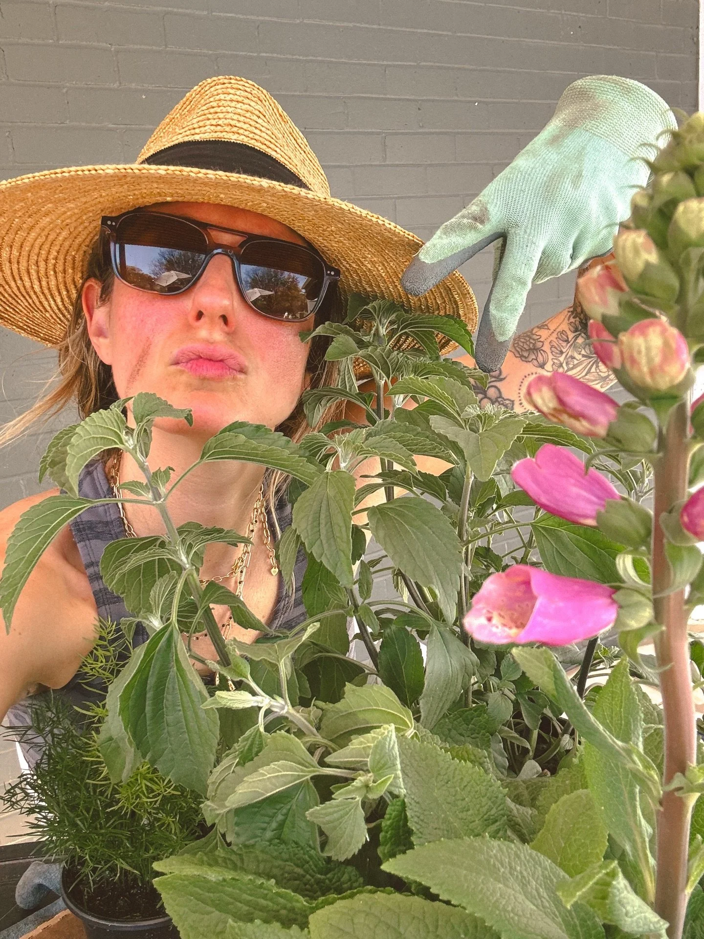 Who will live🪻and who will ☠️?! Nobody knows. But I&rsquo;ll spend a gazillion dollars at the plant store none the less&hellip; #gardening #texasplants #growth #backonmybullshit