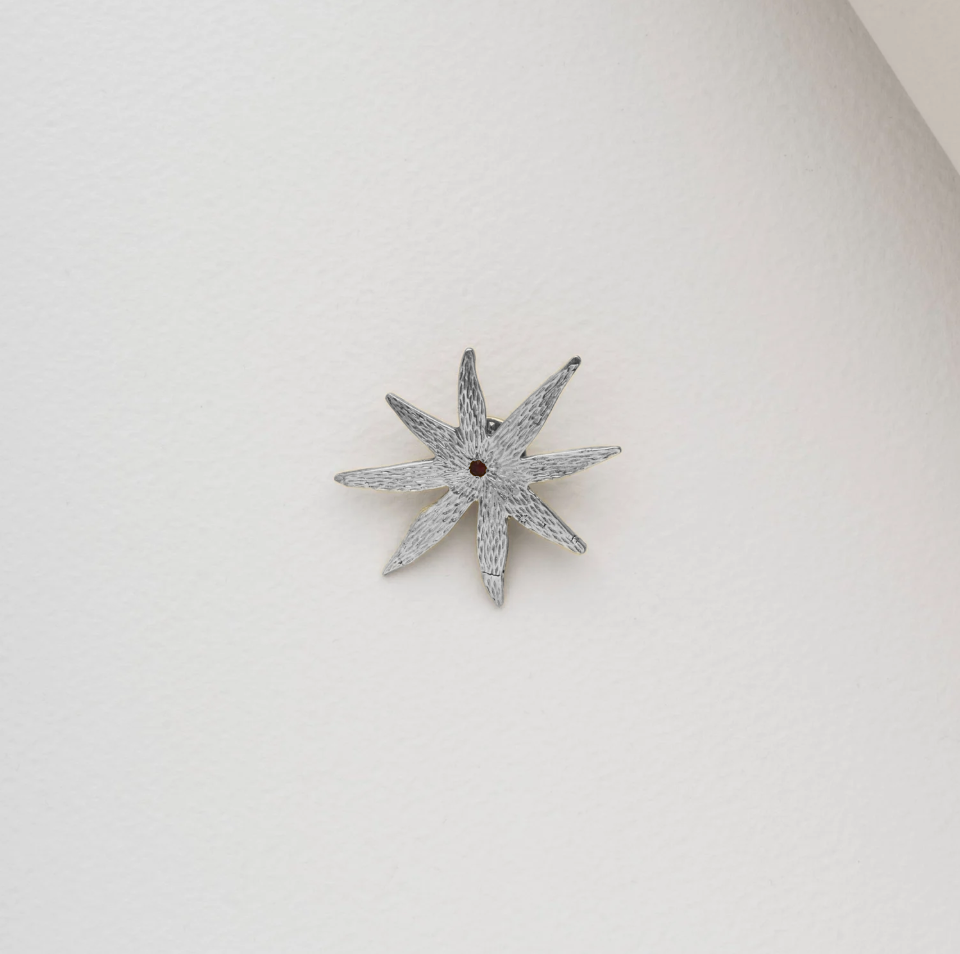 Broche asteroidea plata (1).png